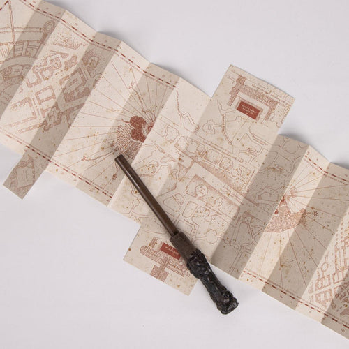 Notebook Mappa che si Illumina