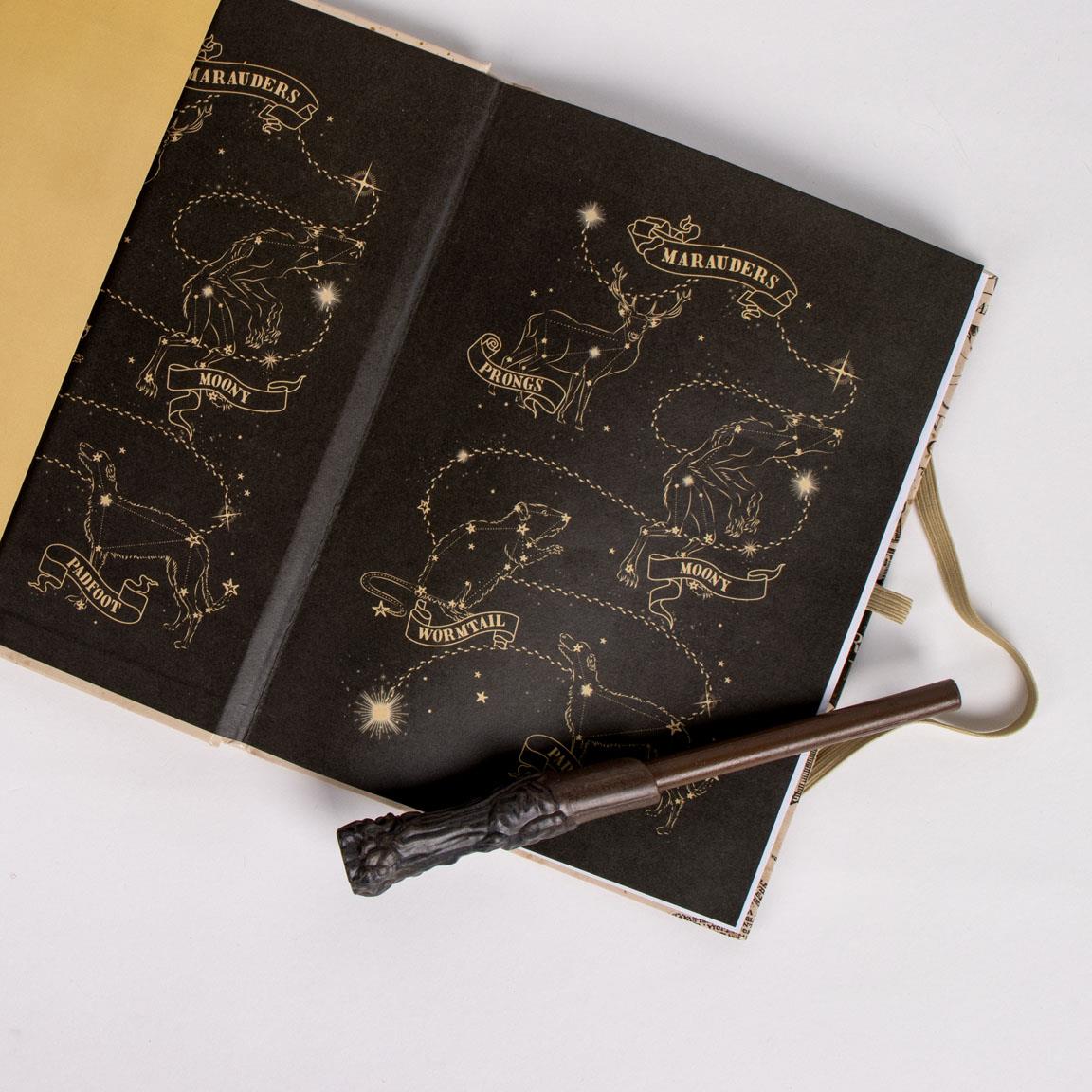 Notebook Mappa che si Illumina