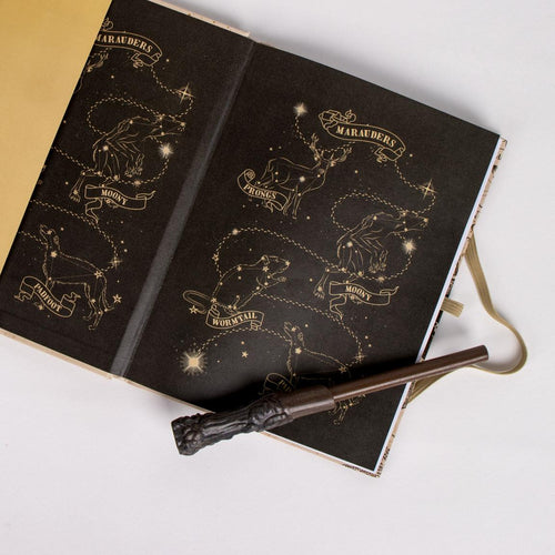 Notebook Mappa che si Illumina