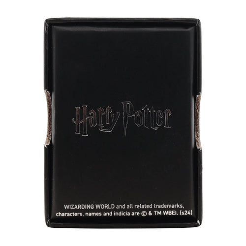 Collana della Chiave Volante di Harry Potter