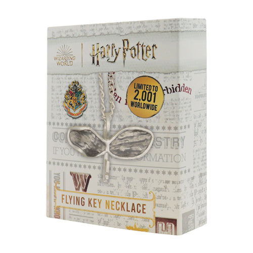 Collana della Chiave Volante di Harry Potter
