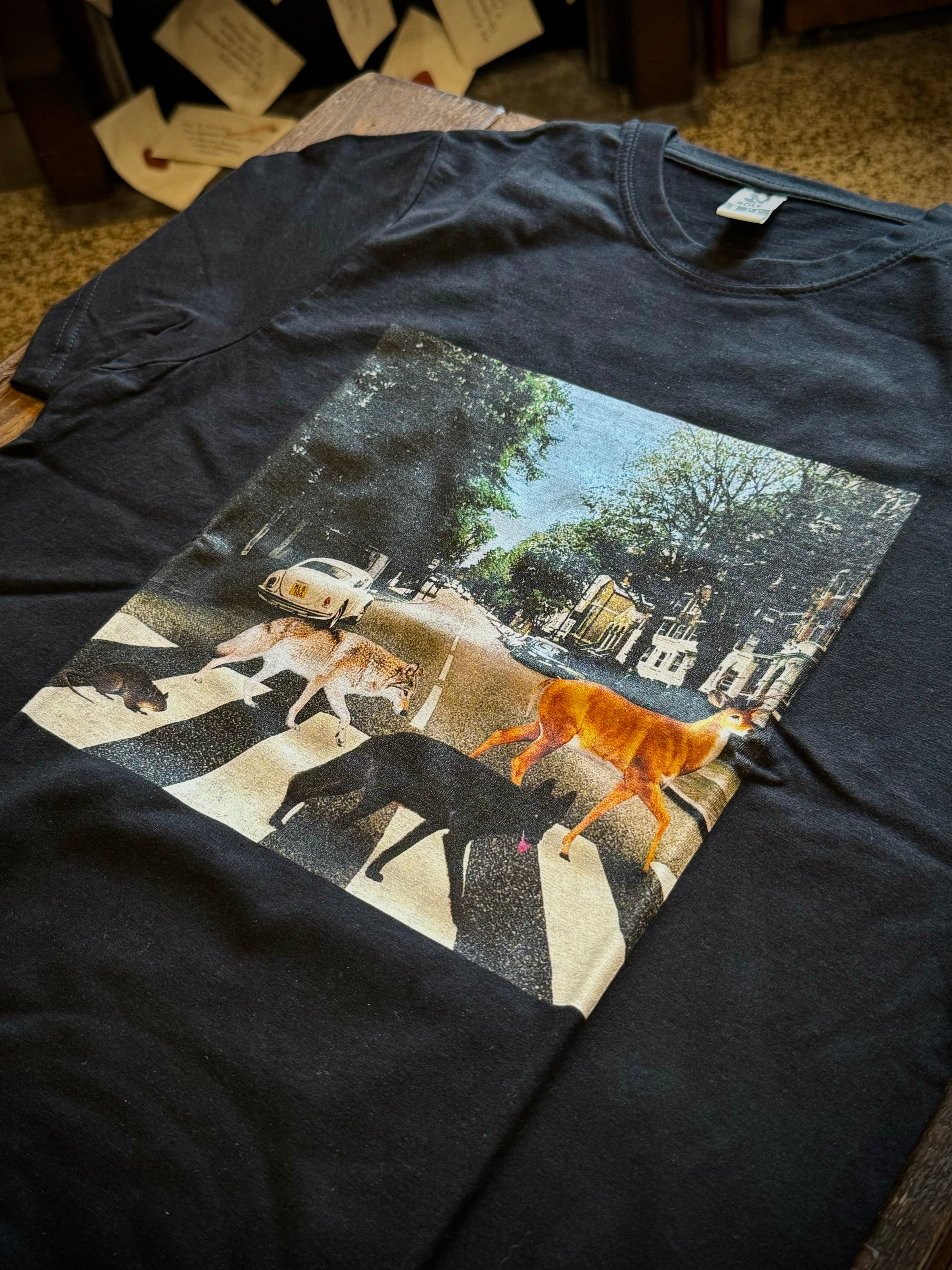 Malandrini Abbey Road