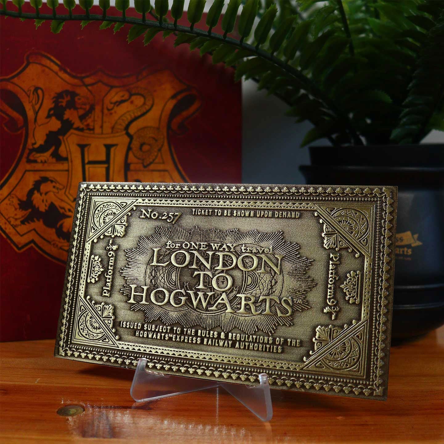 Biglietto HOGWARTS EXPRESS Serie Limitata