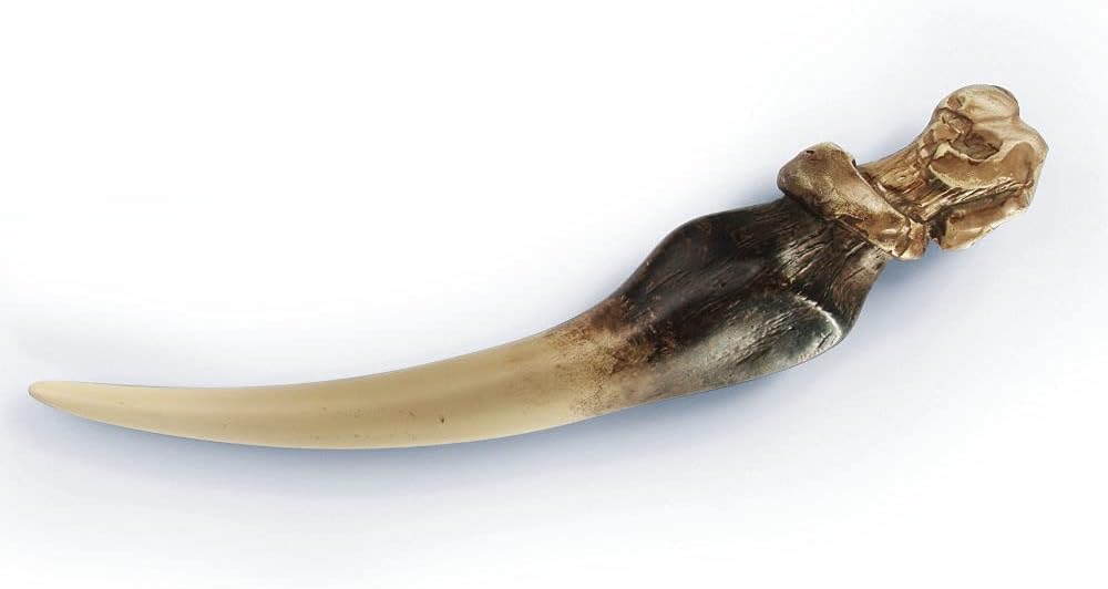 Diario di Tom Riddle col canino di basilisco