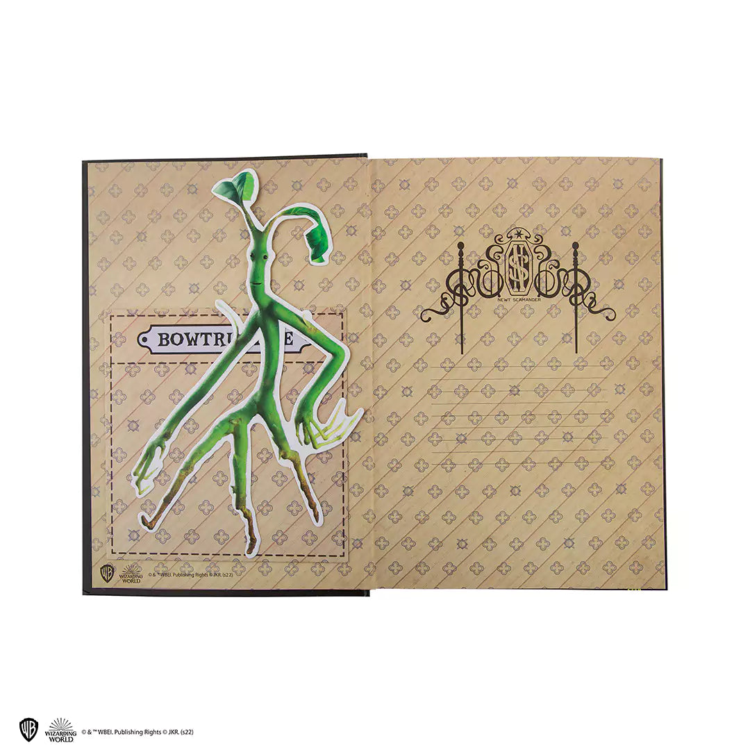 Notebook + Asticello - Newt Scamander