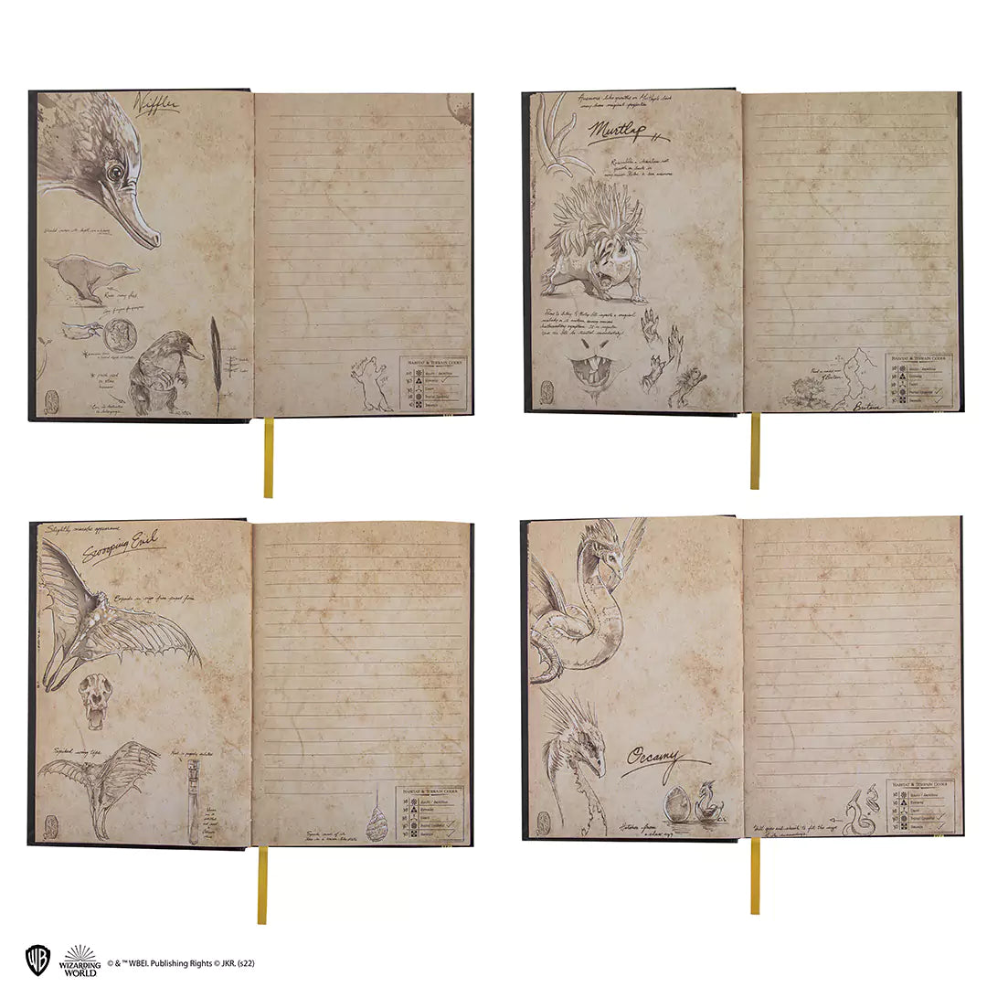 Notebook + Asticello - Newt Scamander