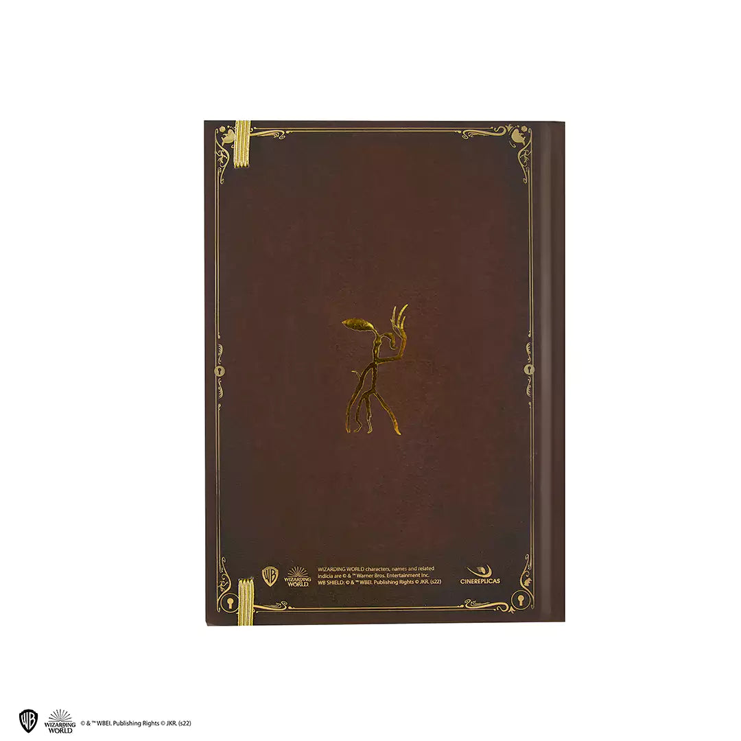Notebook + Asticello - Newt Scamander