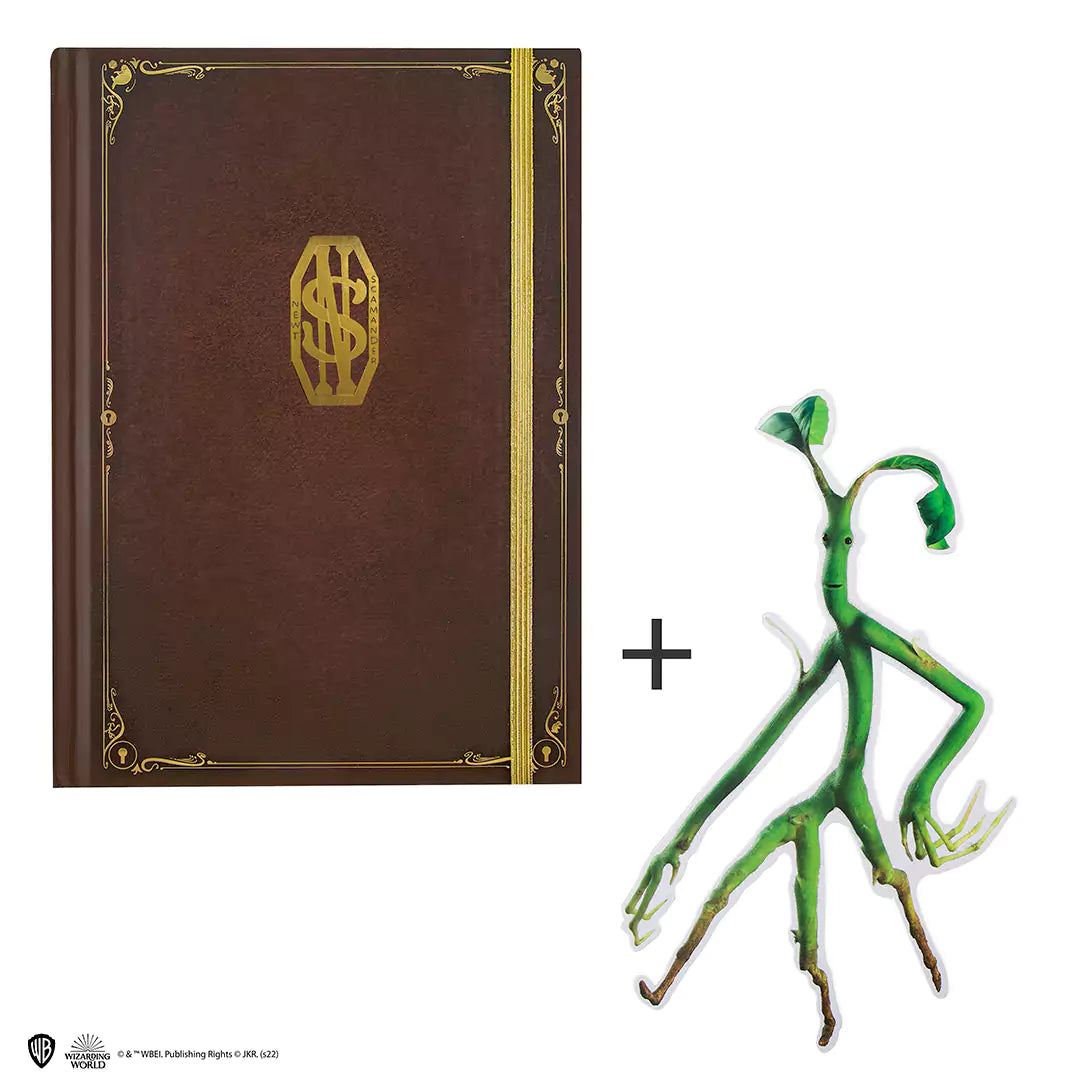 Notebook + Asticello - Newt Scamander