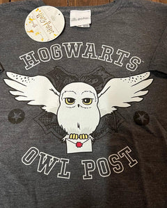 Official Hedwig T-Shirt