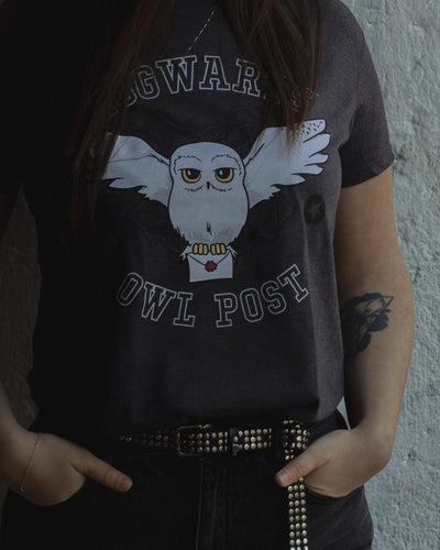 Official Hedwig T-Shirt