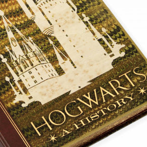 STORIA DI HOGWARTS - DIARIO