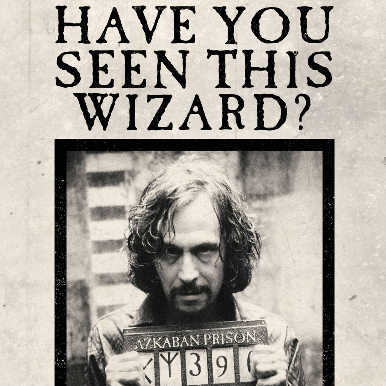 SIRIUS BLACK - HAI VISTO QUESTO MAGO? - BIGLIETTINO LENTICOLARE