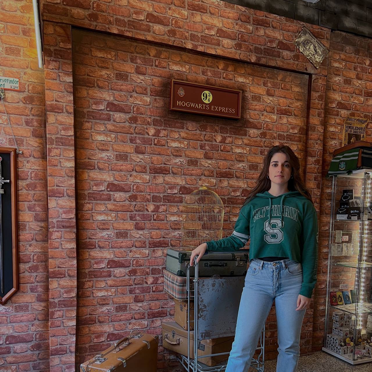 HARRY POTTER – COLLEGE STYLE SLYTHERIN (CROPPED PULLOVER)